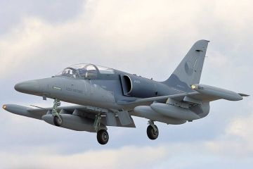 Премьер Чехии Бабиш подтвердил, что его страна не продаст Украине самолеты L-159