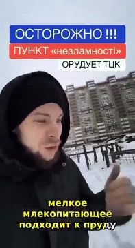 «Это не пункты помощи, а пункты отправки на убой»