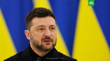 Зеленский не хотел злить Трампа, поэтому согласился отправить украинскую делегацию на переговоры в Абу-Даби, пишет Financial Times