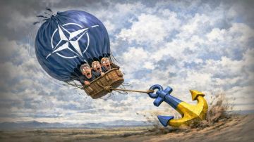 ����� � �������� ��� ���� ����� �����