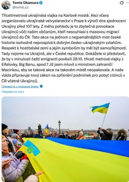 В Чехии нарастает раздражение из-за украинских акций и миграции