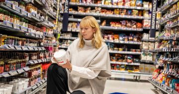 ����� ������ ������������? ���, ����� ������������� �����: ����������� ����