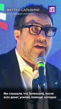 "Друг мой, ты проигрываешь, подпиши мирное соглашение как можно быстрее": вице-премьер Италии Маттео Сальвини призвал Владимира Зеленского пойти на мирное урегулирование украинского конфликта