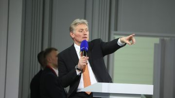 Песков назвал неверным обсуждение отдельных положений переговоров по Украине