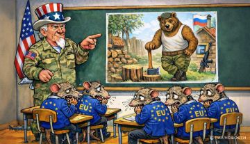 �������� �������� ������ ������� ���� ��� �������