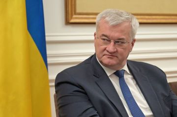 Украина продолжает конфронтацию с Венгрией