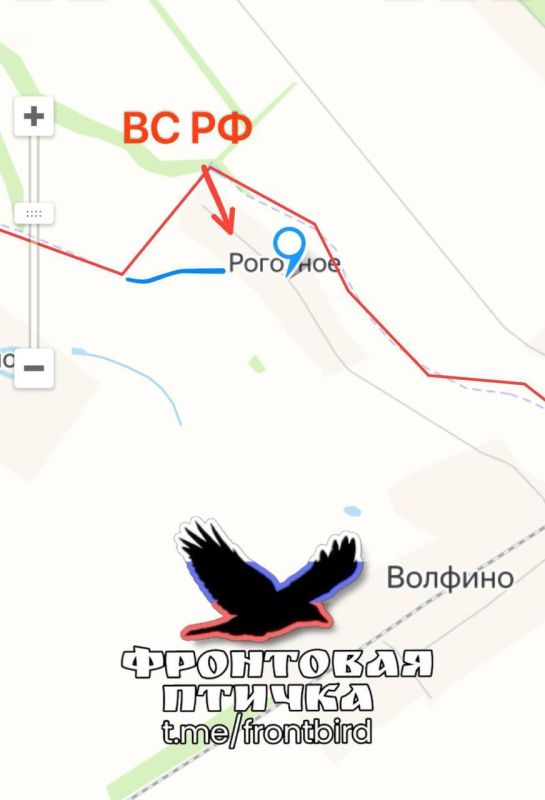 ������� �����������. ������ �� ��