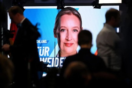 ���� � ���������: AfD ������� �� ������� ��, ��� ���������� �����