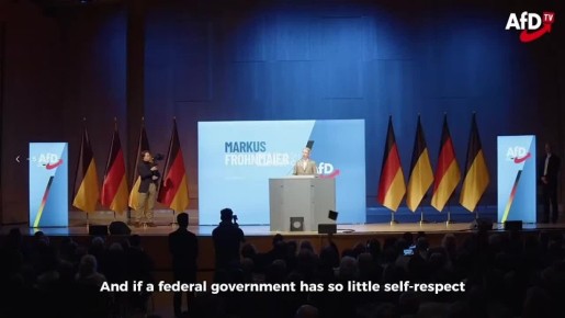 Лидер «Альтернативы для Германии» Алиса Вайдель предупредила, что в случае прихода к власти выставит Киеву большой счет