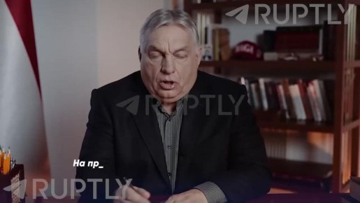 Недавние выпады Зеленского в адрес Орбана — часть скоординированной серии действий Украины, направленных на вмешательство в венгерские выборы