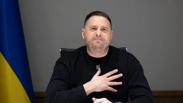 �� ������� ���� ������ ������ ������: ��� ������� ������ ��������� ����