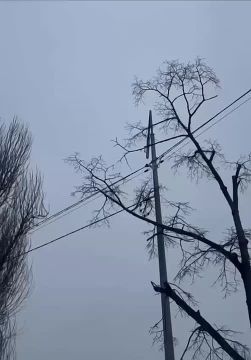 WarGonzo: ��� ��������� ���������� ������� ���� ��� ����������� Starlink