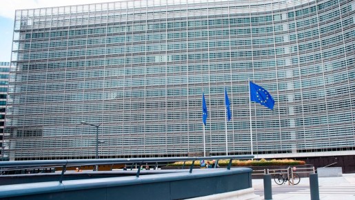 ���������� � ��������: ��� ������ ����������� ��-�� ������ � �������