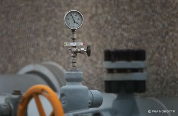 ������� � ������ ������������ � ��������� ����������� ������� ����