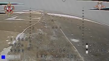 ����������-���������������� �����������: �������� ��� � ��������� ����� � �������� �� ������ ������