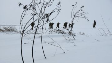 "���������� ����": ������ �� ����� � ��������� ���������� "��������"