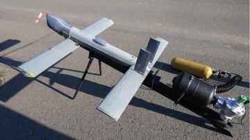 ����� ������ ��������� � ���� ��� �������� ���������������������� ������������� ����������