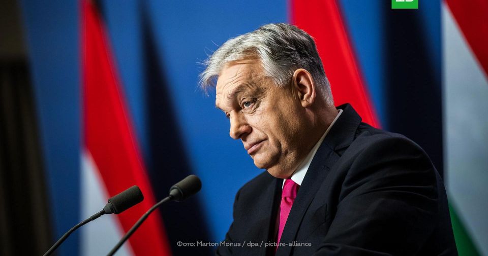 �����: ���������� ����������� ������� �����