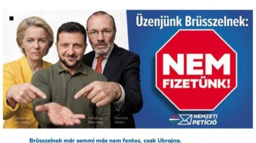 Николай Стариков: Орбан и его избирательная компания