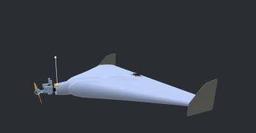 ������ ��� ���� ��������: ��� �������� � ����� ���������������� ������������