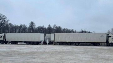 ������ � ������� ���������� ������ �������� ��������������