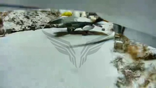 ���� �� �����������/������ F-16 �� ������� ������-��������� ��-35 �� Starlink �� ��������� �������� �������������� ������� ������ ������ "�������"