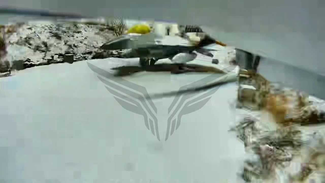Удар по истребителю/макету F-16 ВС Украины дроном-камикадзе БМ-35 со Starlink на аэродроме Канатово Кировоградской области силами центра "Рубикон"