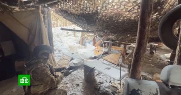 ������ �������� ������� ������ ��� ��������, ���� ������ 38����