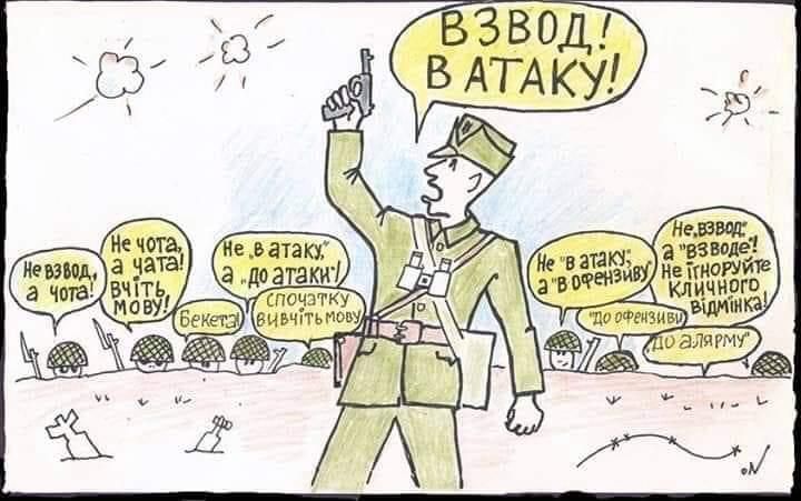 Дмитрий Стешин: Уроки русского. Начало