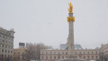 Папуашвили: Тбилиси не введет санкции и не отправит войска на Украину