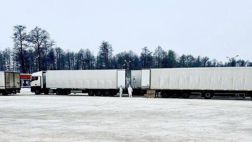 1000 �� 38: ������ � ������� ������� ����� ������ �������� ��������������