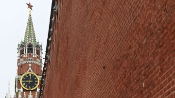 Выводы ООН по Крыму и Донбассу глубоко ошибочны – Кремль