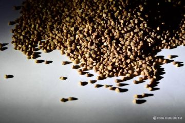 ��� �� ������ 2025-�� ��������� ������ ���������� ������ �� 12% - �� ������������ � ������ 306,8 ����