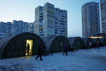 Эксперты рассказали об ажиотажном спросе на дрова и печки в Киеве