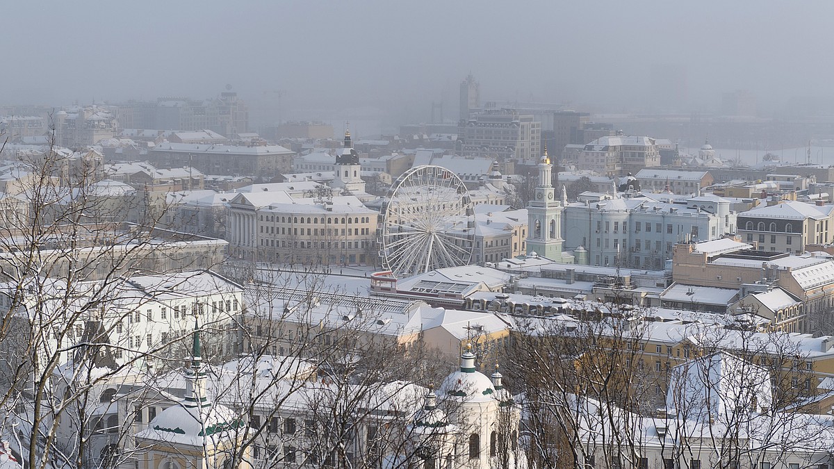 Люди в Киеве начали массово запасаться наполнителем для кошачьих лотков