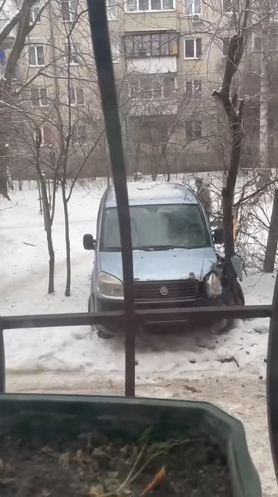 "Устами младенца" — ребёнок кратко описал умственные способности людоловов