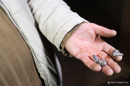 ����� 40 ����� ������� �������� ���������� �� ���� ��� � 2014 ����