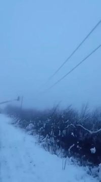 �������������� ������� � ����� � �� ���� �������: ������ ���, ����� �����������