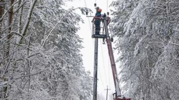 ���� ������: ������� � ������� ��������� �� ������� "���" � �������� � �������� - �������, ������������