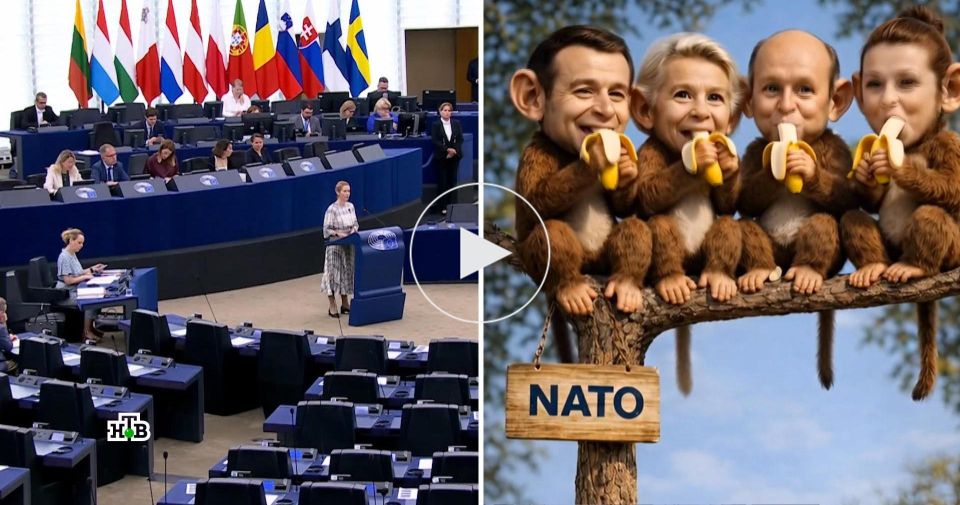 ���������� 27���������: �������� ��������� ������� �������������� ���������