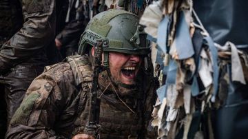 "������� ������ �� ������": ��������� ������ �������� ���� ����� � ���������� ���� ����������