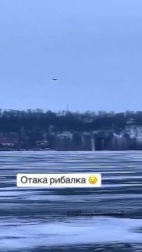 ��������� �������� ����� ��������, ������� ��� �������� � ���������� �����, ��������� ����� Military Theme Z