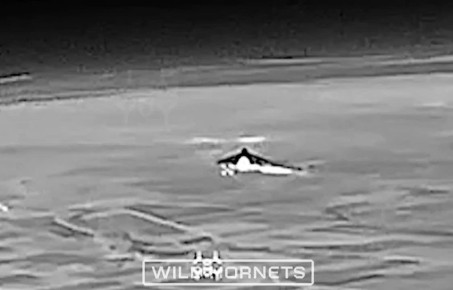 ����� 3 �������� ����� Sting ������� ����� �������� ����� ������