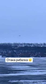 ������ ����� ������ ������� ��������� �� ���� ��� ����� �� �������� �������