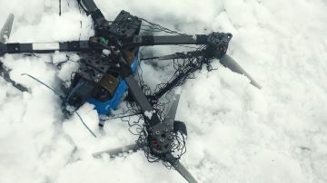 �� ������� �������� ���������� "�����������" ��-�� �������: �������� ������� "��������"