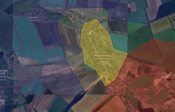 �� �� ������ ���������� ������ �� �����������