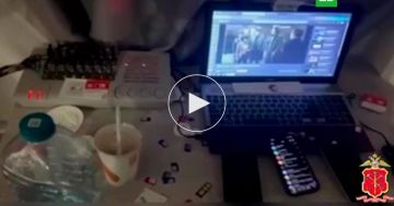 Полиция накрыла узел связи мошенников с Украины в Ленобласти