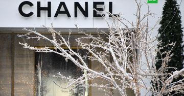 Chanel ������ ���������� ������ �� ����������� ��������� �����