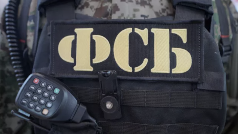 ФСБ: задержанный в Подмосковье иностранец должен был подорвать ЛЭП