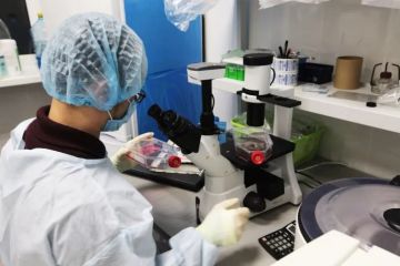 �������� ���������� ������������� � ������� �������� ������������� ����� � �������������� � ����������� �� �������